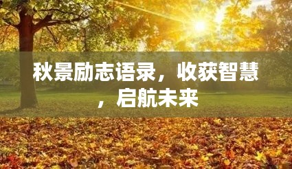 秋景励志语录，收获智慧，启航未来