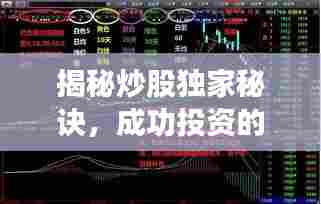 揭秘炒股独家秘诀，成功投资的策略与关键要素