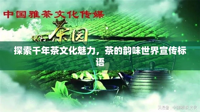 探索千年茶文化魅力，茶的韵味世界宣传标语