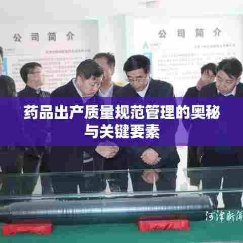 药品出产质量规范管理的奥秘与关键要素