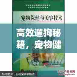 高效遛狗秘籍，宠物健康与快乐的双赢之道