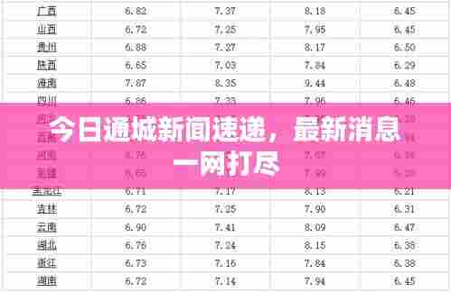 今日通城新闻速递，最新消息一网打尽