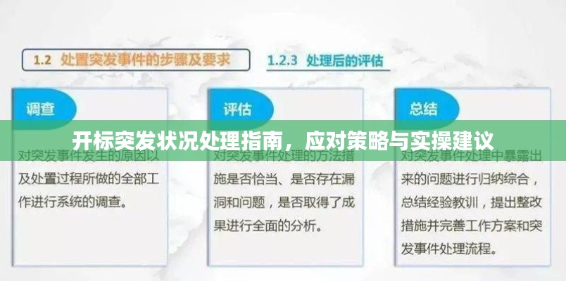 开标突发状况处理指南，应对策略与实操建议