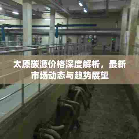 太原碳源价格深度解析，最新市场动态与趋势展望