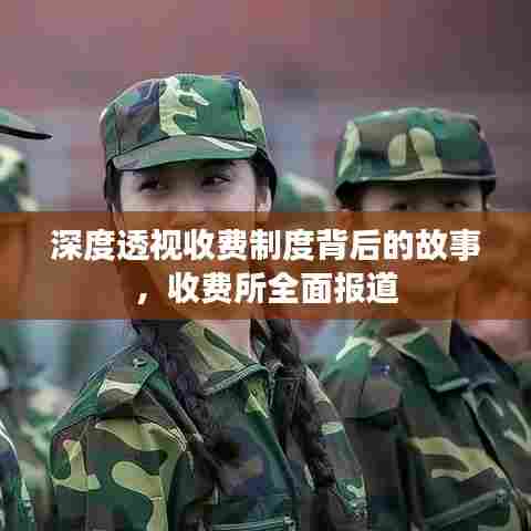 深度透视收费制度背后的故事,收费所全面报道