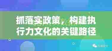 抓落实政策，构建执行力文化的关键路径，方法与策略探讨