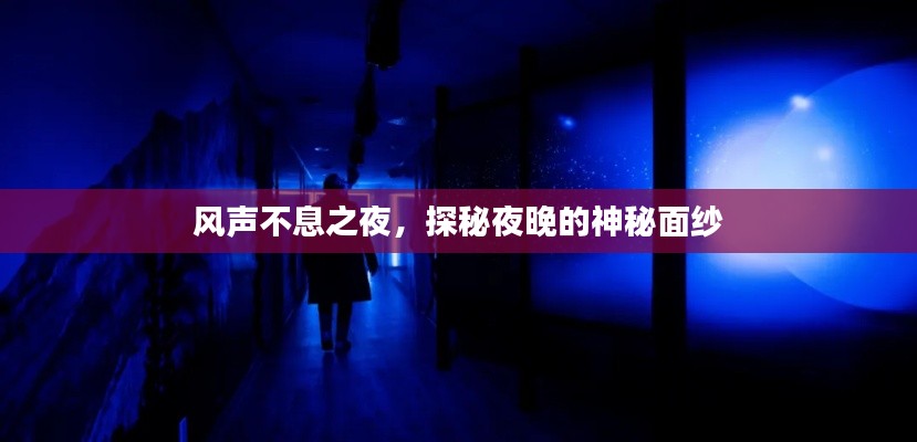 风声不息之夜，探秘夜晚的神秘面纱