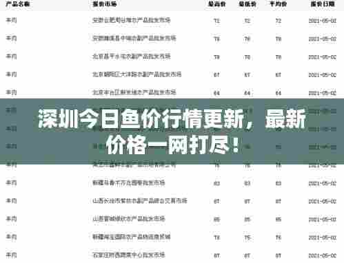 深圳今日鱼价行情更新，最新价格一网打尽！