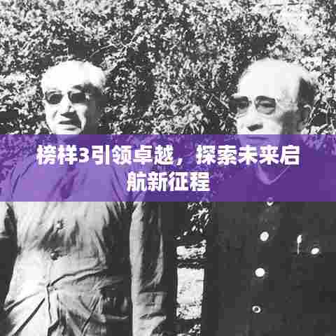 榜样3引领卓越，探索未来启航新征程
