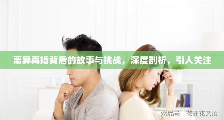 离异再婚背后的故事与挑战，深度剖析，引人关注