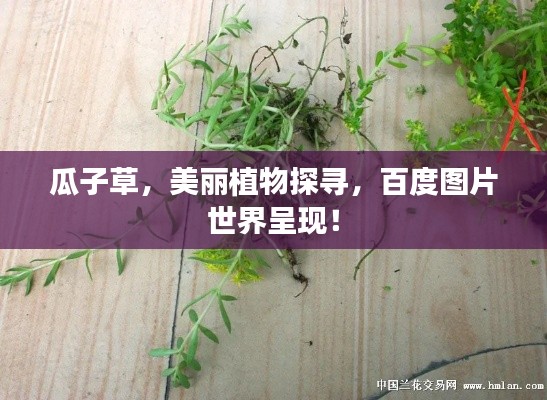 蜎飞蠢动 第5页