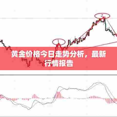 黄金价格今日走势分析，最新行情报告