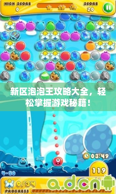 新区泡泡王攻略大全,轻松掌握游戏秘籍!