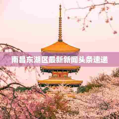 南昌东湖区最新新闻头条速递