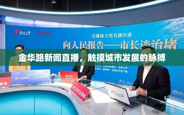 金华路新闻直播，触摸城市发展的脉搏