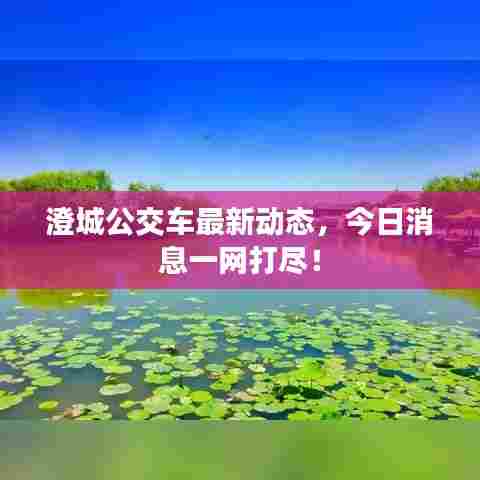 澄城公交车最新动态，今日消息一网打尽！