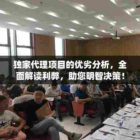 独家代理项目的优劣分析,全面解读利弊,助您明智决策!