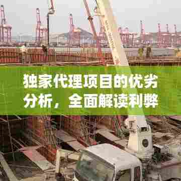 独家代理项目的优劣分析,全面解读利弊,助您明智决策!
