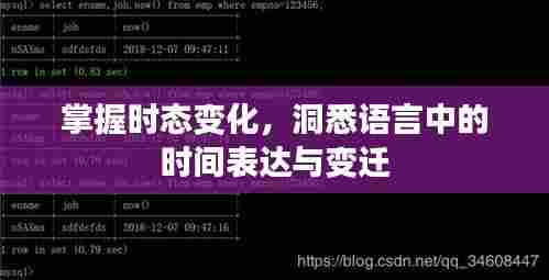 掌握时态变化，洞悉语言中的时间表达与变迁