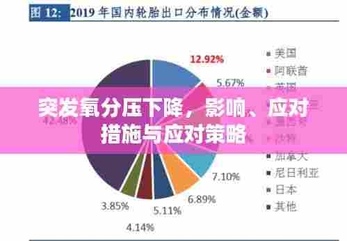 突发氧分压下降,影响、应对措施与应对策略