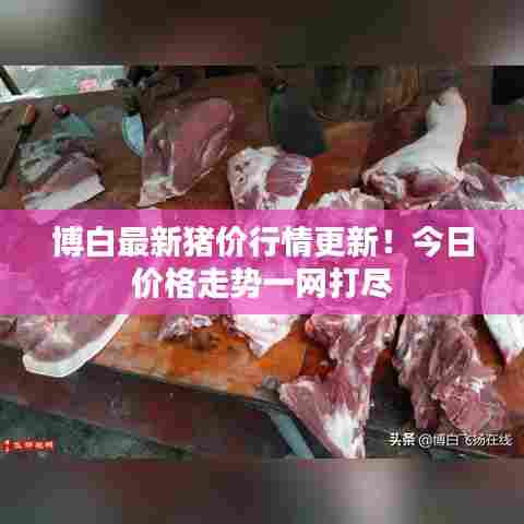 博白最新猪价行情更新！今日价格走势一网打尽