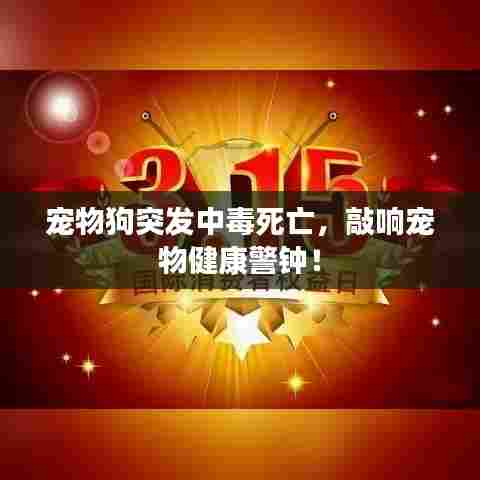 宠物狗突发中毒死亡，敲响宠物健康警钟！