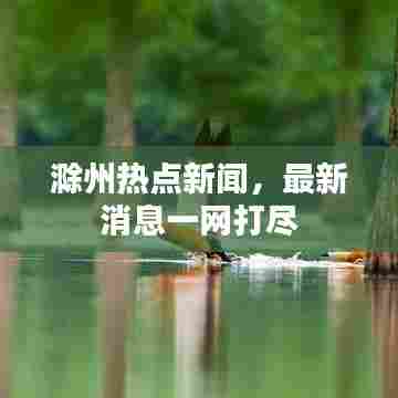 滁州热点新闻，最新消息一网打尽