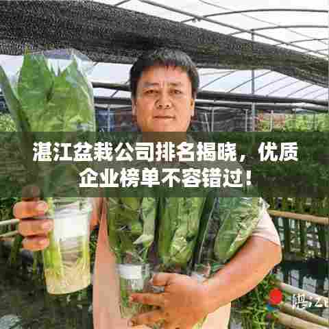 湛江盆栽公司排名揭晓，优质企业榜单不容错过！