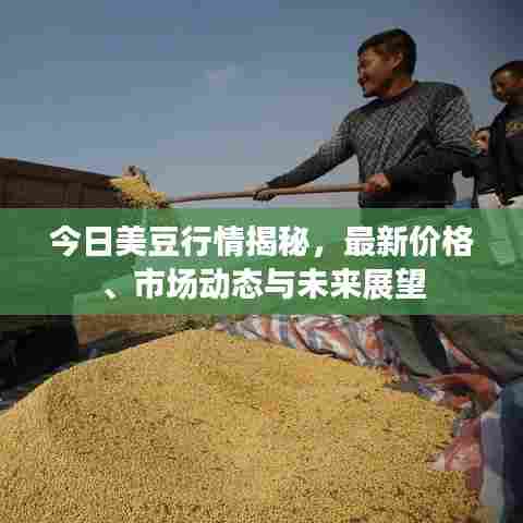 今日美豆行情揭秘,最新价格、市场动态与未来展望
