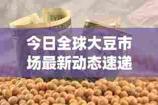 冰肌玉骨 第7页