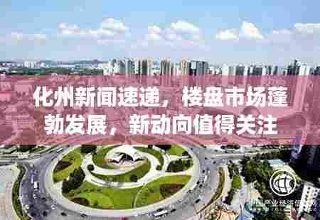 化州新闻速递,楼盘市场蓬勃发展,新动向值得关注