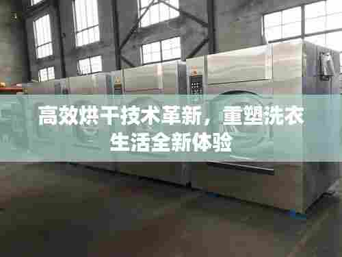 高效烘干技术革新，重塑洗衣生活全新体验