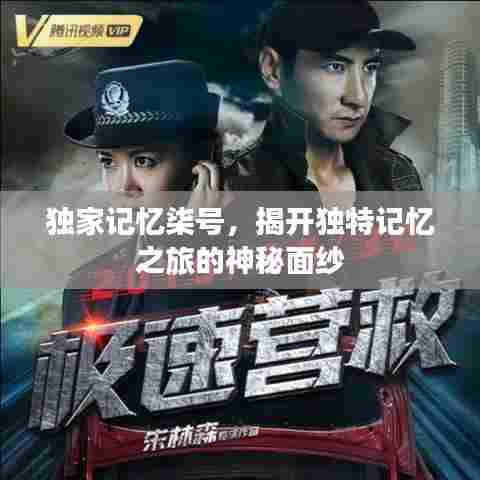 独家记忆柒号，揭开独特记忆之旅的神秘面纱