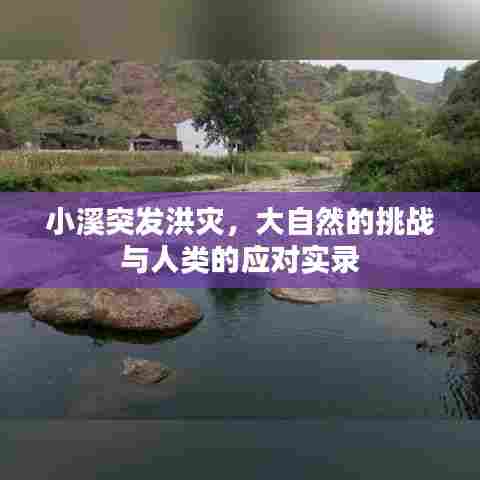 小溪突发洪灾，大自然的挑战与人类的应对实录