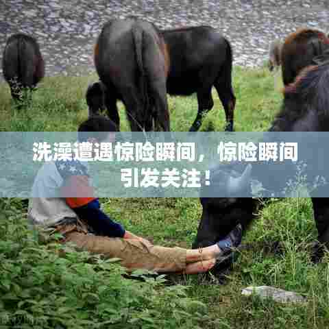 洗澡遭遇惊险瞬间，惊险瞬间引发关注！