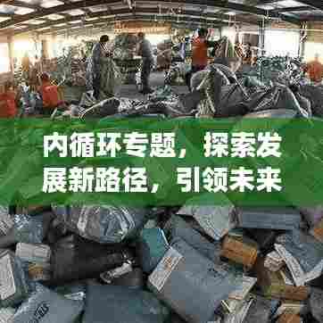 内循环专题,探索发展新路径,引领未来趋势!