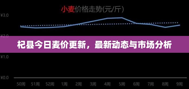 杞县今日麦价更新，最新动态与市场分析