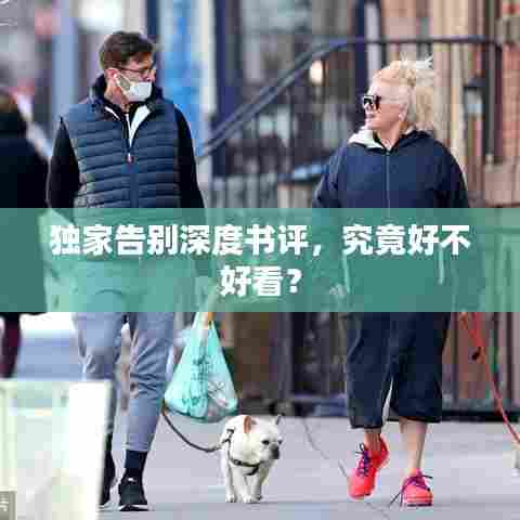 独家告别深度书评，究竟好不好看？
