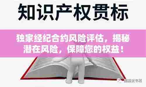 独家经纪合约风险评估，揭秘潜在风险，保障您的权益！