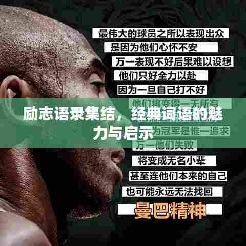 百不获一 第6页