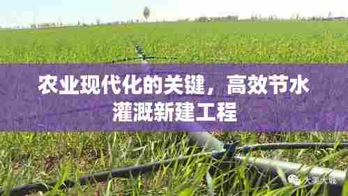 农业现代化的关键，高效节水灌溉新建工程