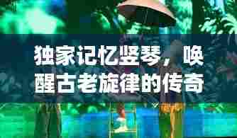 独家记忆竖琴，唤醒古老旋律的传奇乐器之旅