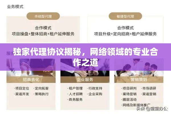 独家代理协议揭秘，网络领域的专业合作之道