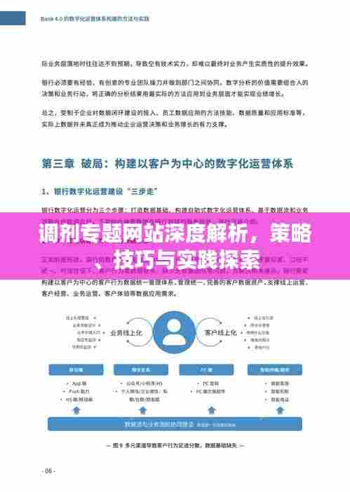 调剂专题网站深度解析，策略、技巧与实践探索