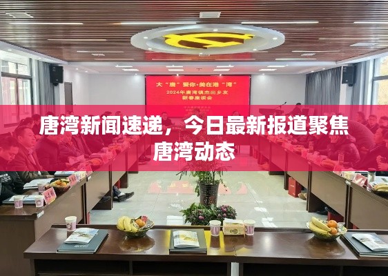 唐湾新闻速递，今日最新报道聚焦唐湾动态