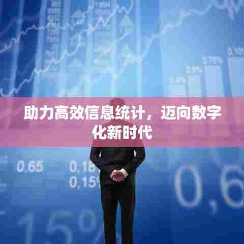 助力高效信息统计,迈向数字化新时代