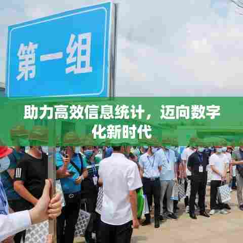 助力高效信息统计,迈向数字化新时代