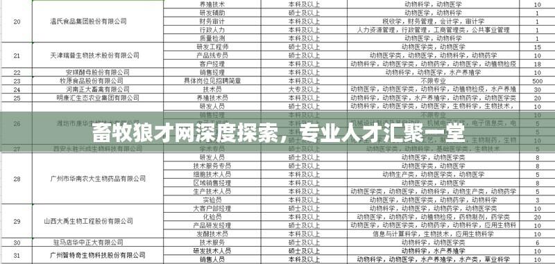畜牧狼才网深度探索，专业人才汇聚一堂