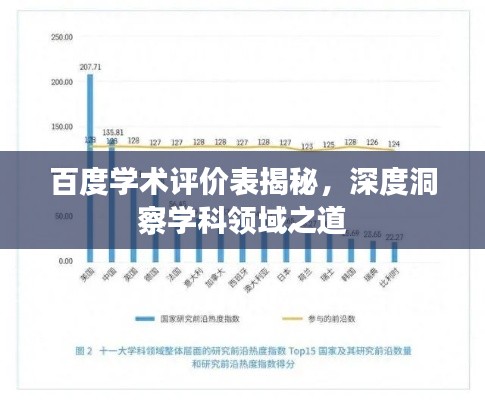 百度学术评价表揭秘，深度洞察学科领域之道