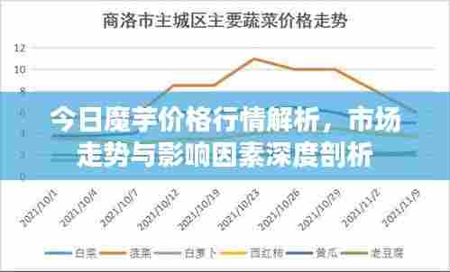 今日魔芋价格行情解析，市场走势与影响因素深度剖析